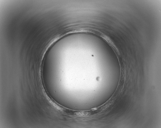 X0000064750805200602241834