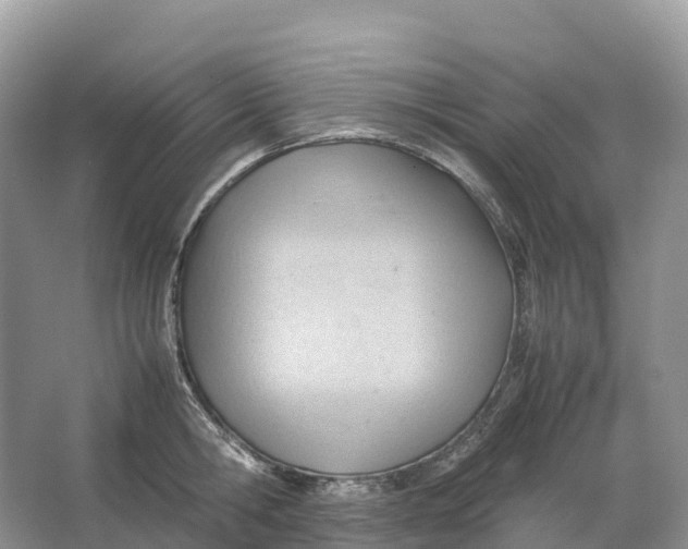 X0000064750806200602241834