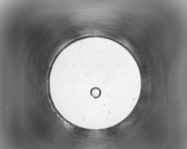 X0000064750807200602241834