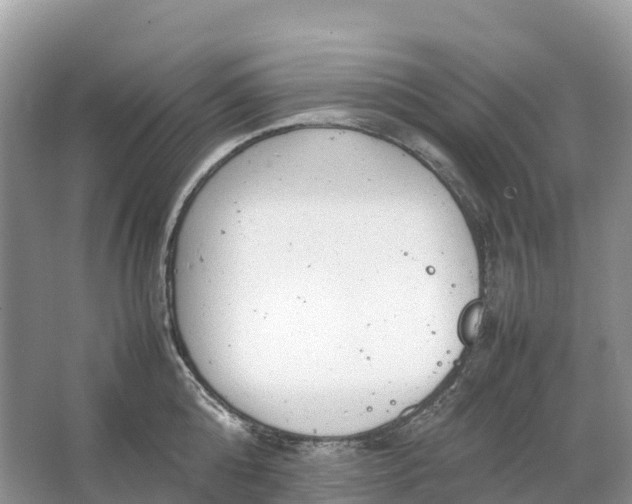 X0000064750808200602241834