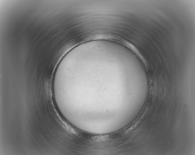 X0000064750810200602241834