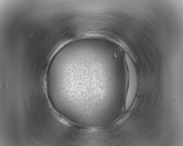 X0000064750814200602241833