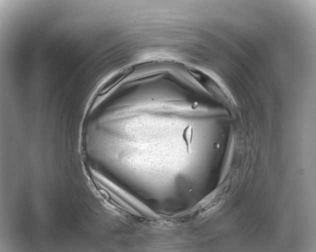 X0000064750815200602241833