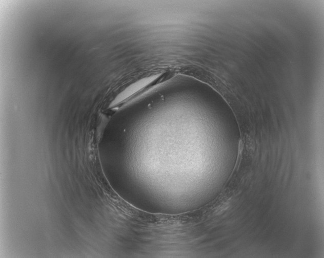 X0000064750818200602241832