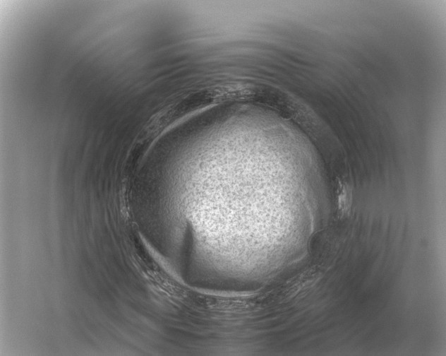 X0000064750819200602241832