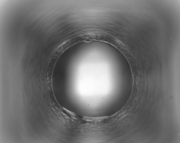 X0000064750822200602241832