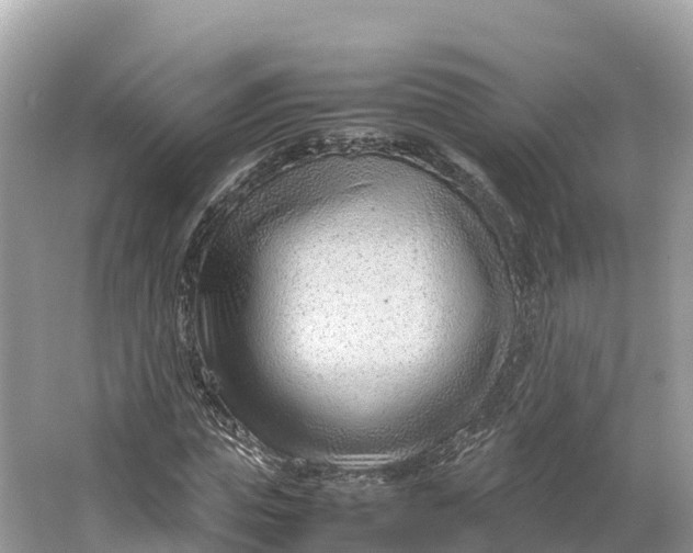 X0000064750823200602241832