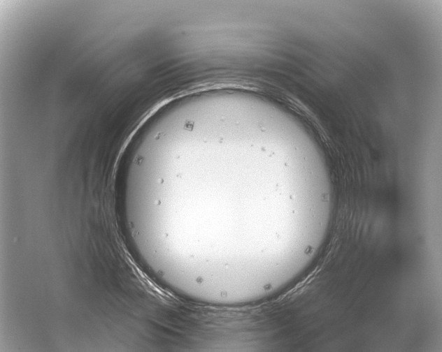 X0000064750828200602241832