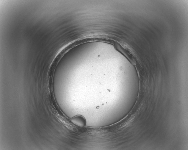 X0000064750830200602241832