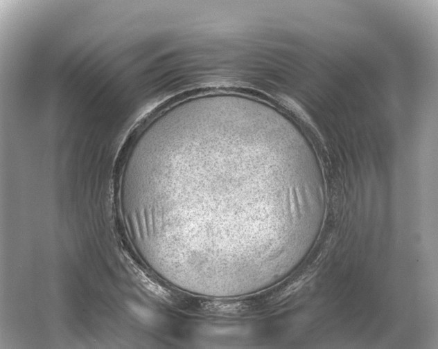 X0000064750831200602241832