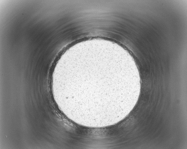 X0000064750832200602241833