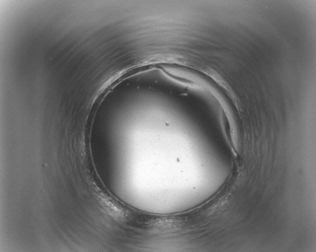 X0000064750834200602241833