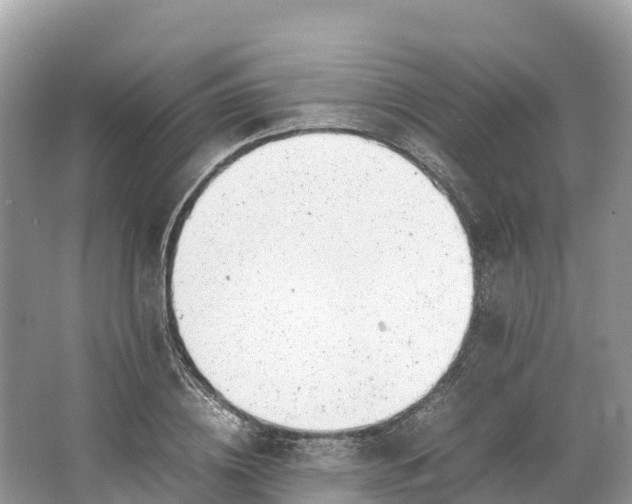 X0000064750836200602241833