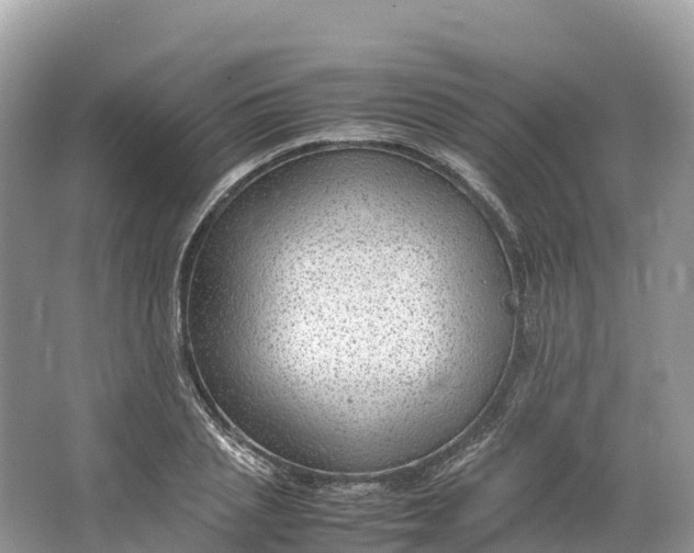 X0000064750837200602241833