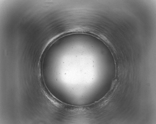 X0000064750838200602241833