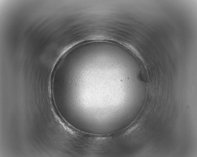 X0000064750839200602241833