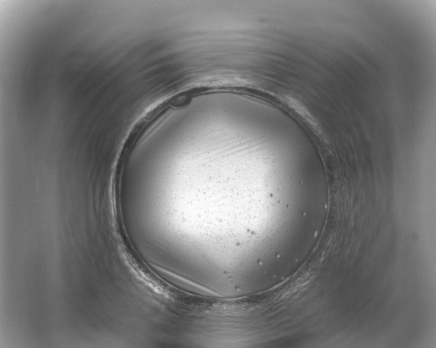 X0000064750840200602241833