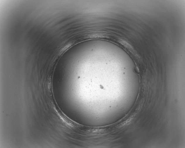 X0000064750841200602241833