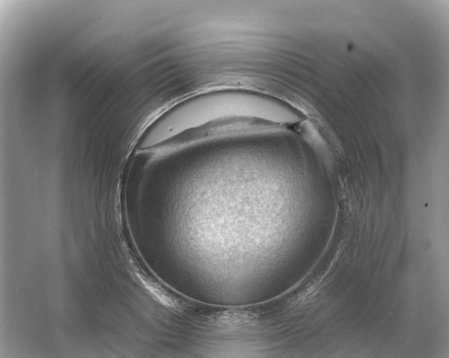 X0000064750842200602241833