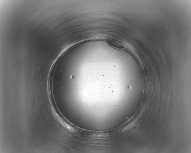 X0000064750843200602241833