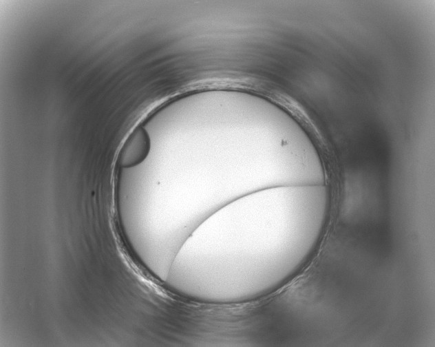 X0000064750844200602241833