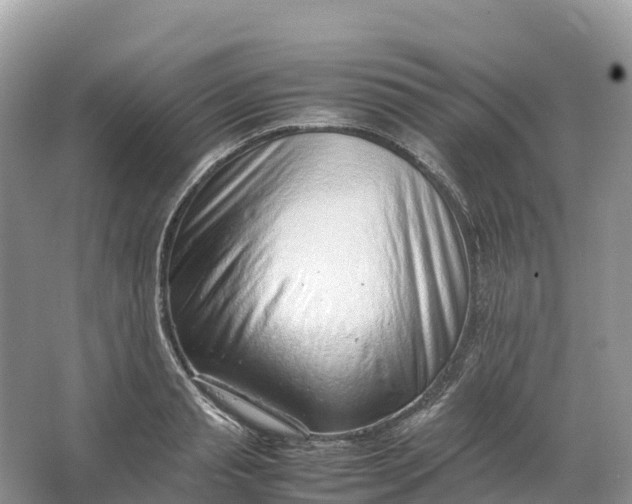 X0000064750845200602241833