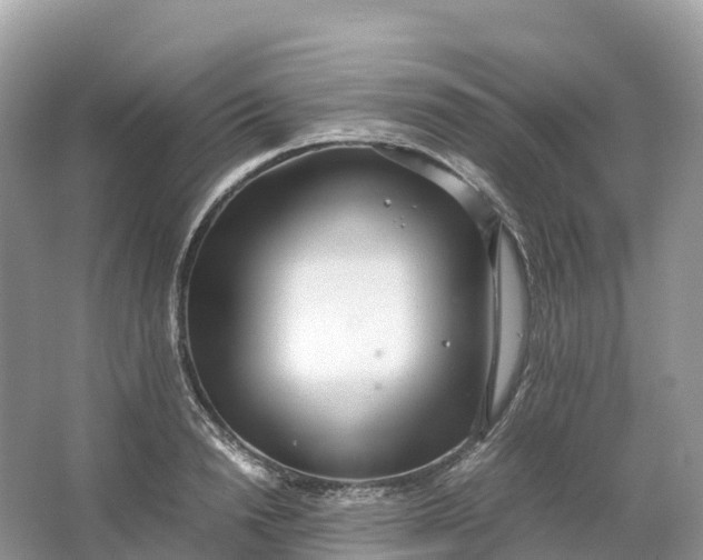 X0000064750846200602241833