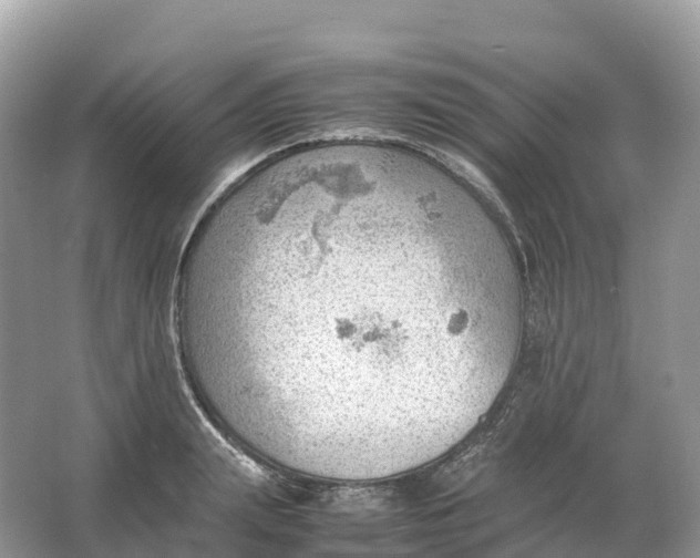 X0000064750847200602241833