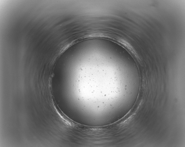 X0000064750849200602241833