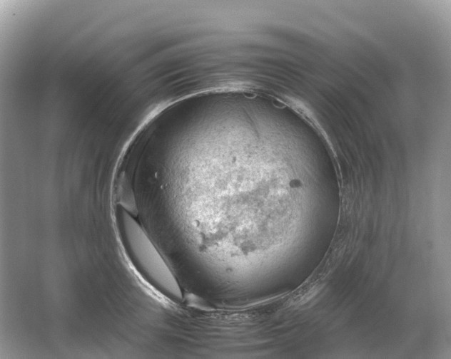 X0000064750851200602241833