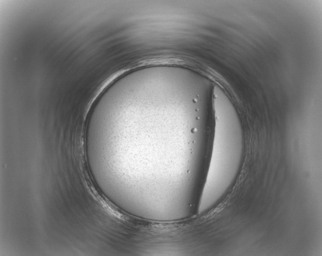 X0000064750852200602241833