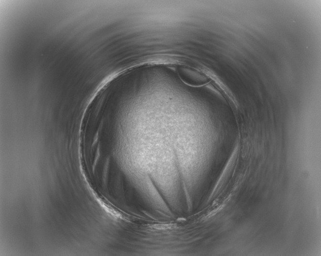 X0000064750853200602241833