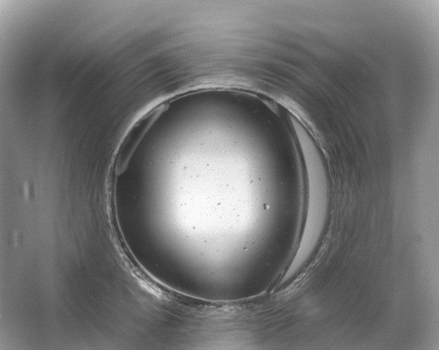 X0000064750854200602241833