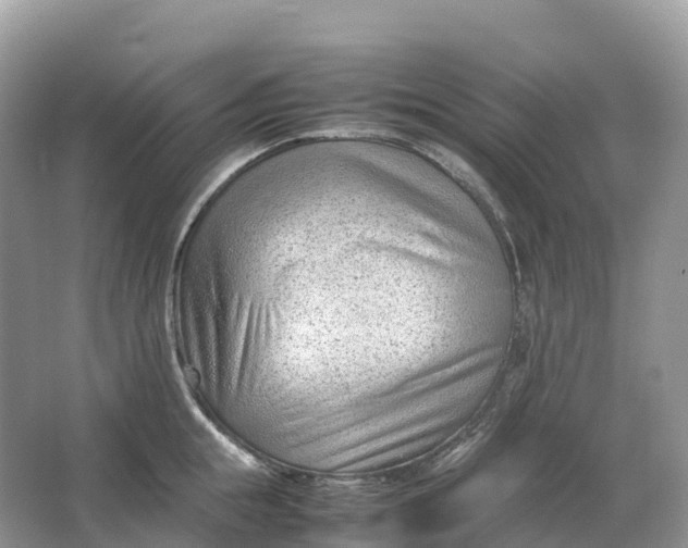 X0000064750855200602241833