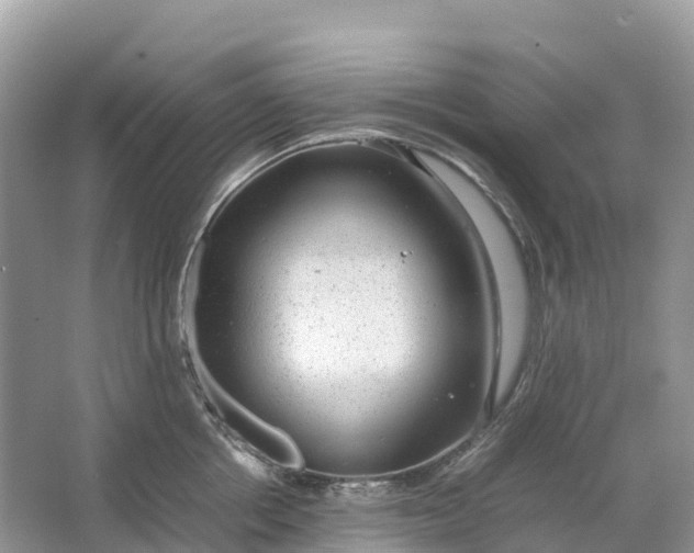 X0000064750858200602241833