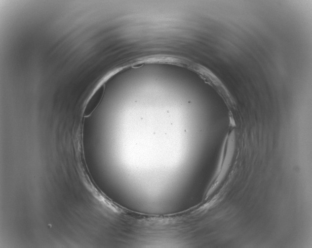 X0000064750860200602241833