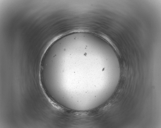 X0000064750861200602241833