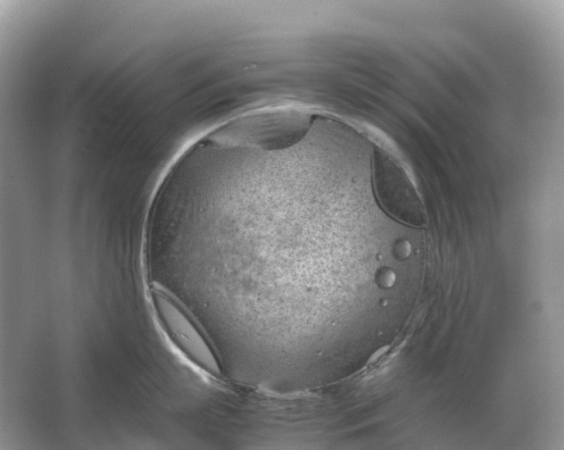 X0000064750863200602241833