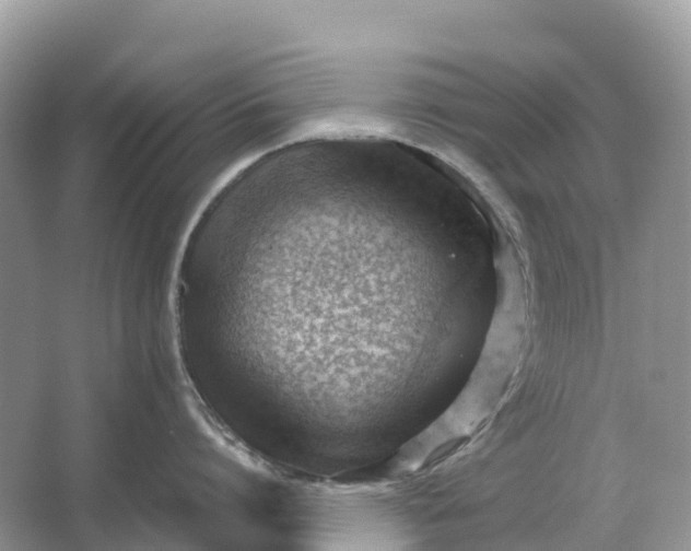 X0000064750864200602241833