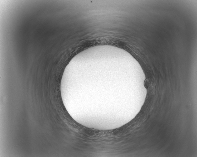 X0000064750865200602241832