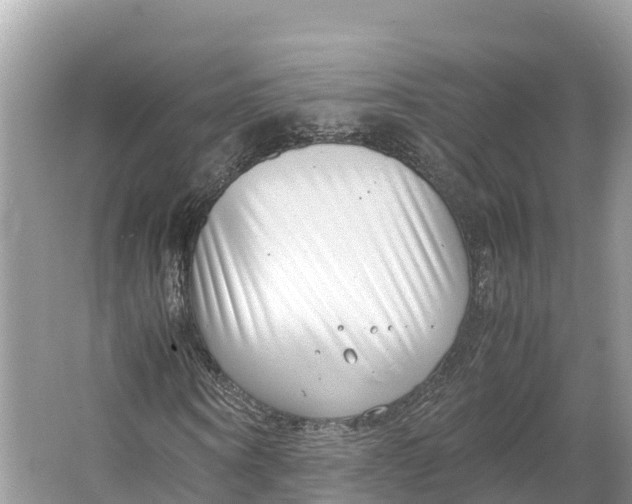 X0000064750866200602241832