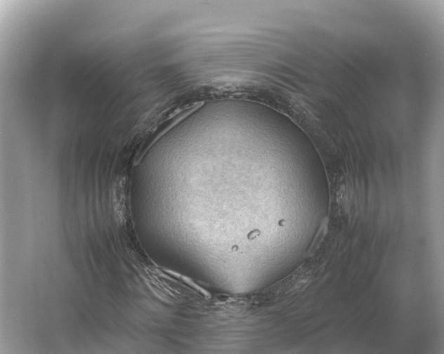 X0000064750868200602241832