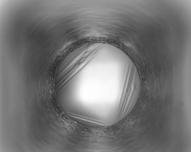 X0000064750870200602241832