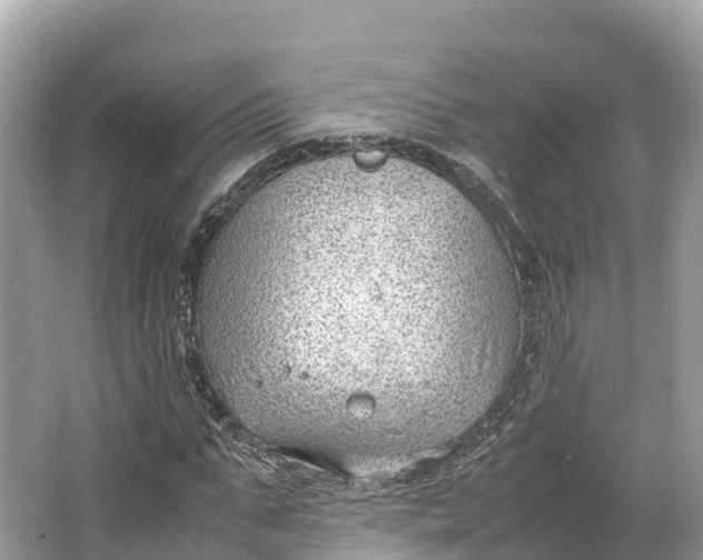 X0000064750871200602241832