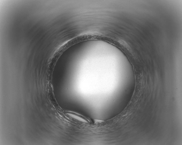 X0000064750872200602241832