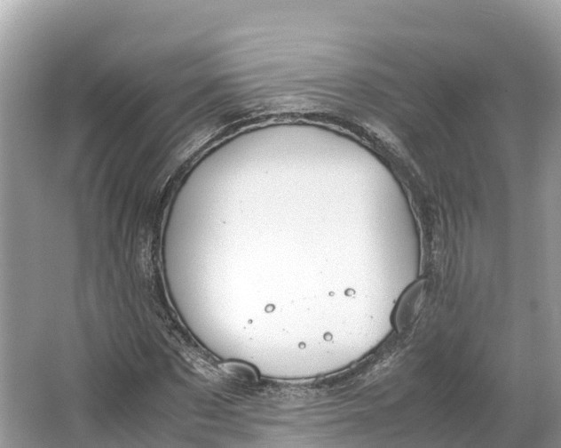 X0000064750873200602241832