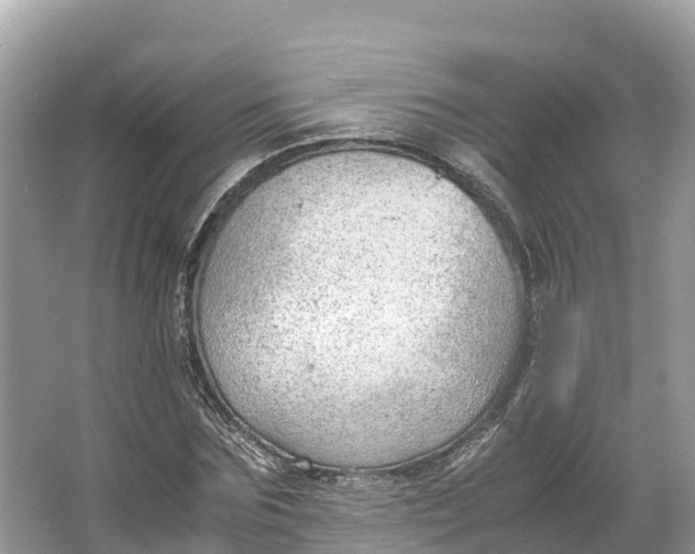 X0000064750875200602241832