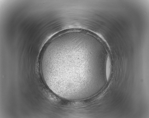 X0000064750879200602241832