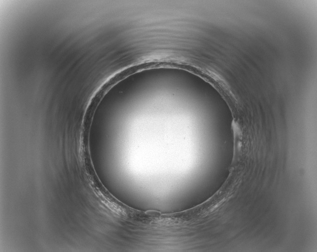 X0000064750880200602241832