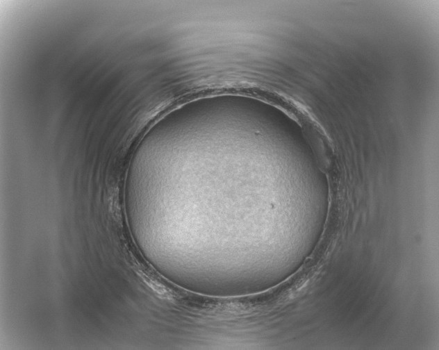 X0000064750881200602241832